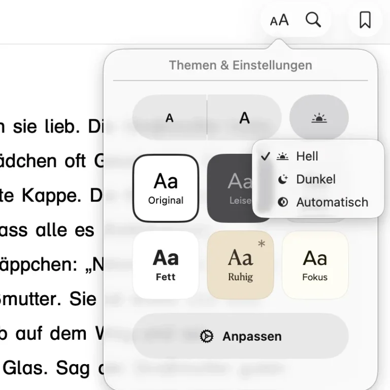 Screenshot mit den Barriefreiheitsfunktionen