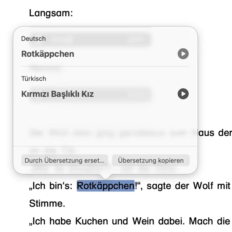 Screenshot mit der Übersetzungsfunktion
