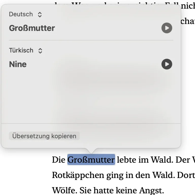 Screenshot Übersetzung Screenshot mit der Übersetzungsfunktion